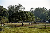 Angkor Thom - the Royal Square esplanade